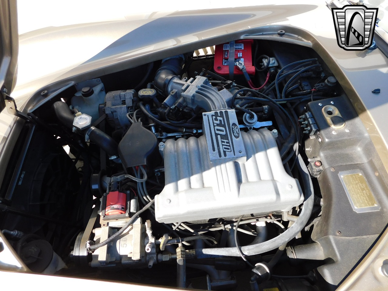 1996 Excalibur Cobra 16