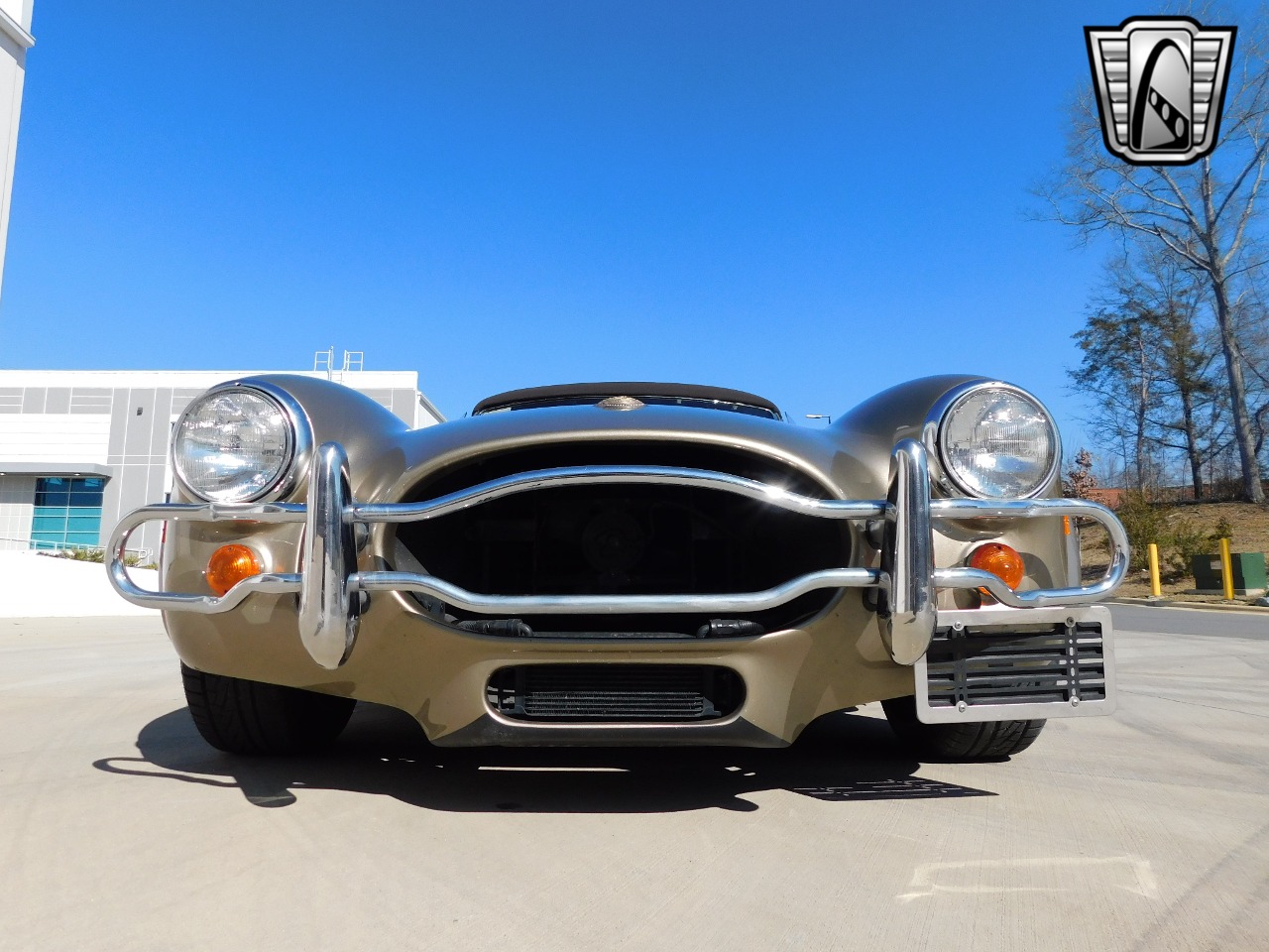 1996 Excalibur Cobra 33