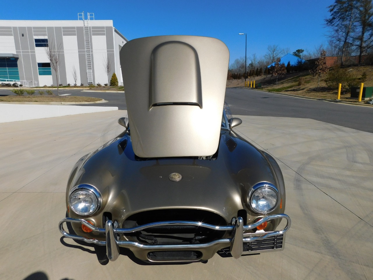 1996 Excalibur Cobra 69