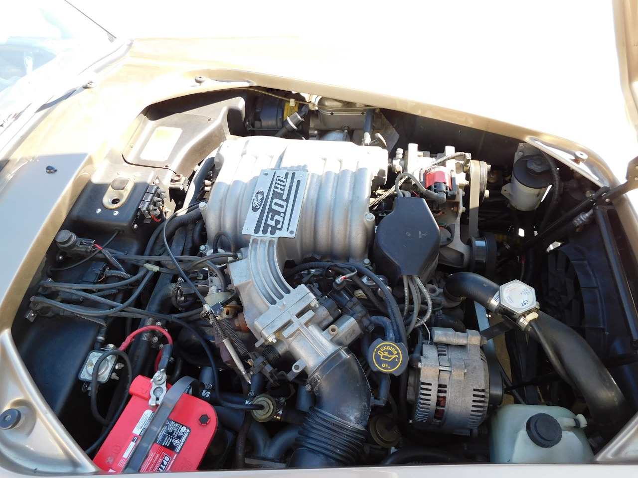 1996 Excalibur Cobra 15