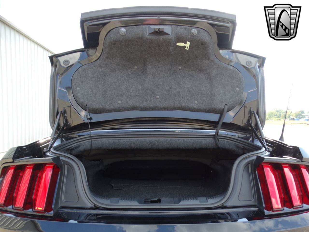 2015 Ford Mustang 29