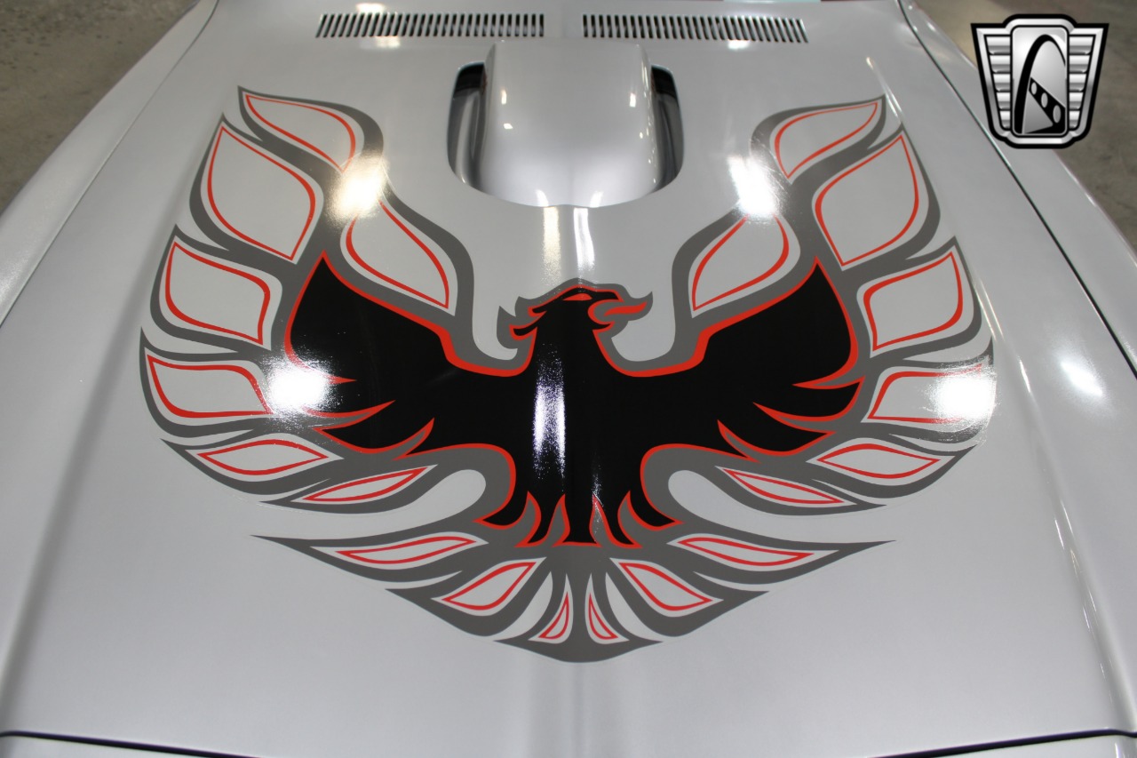 1976 Pontiac Firebird 13