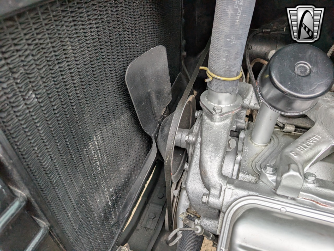 1954 Dodge Pickup 98