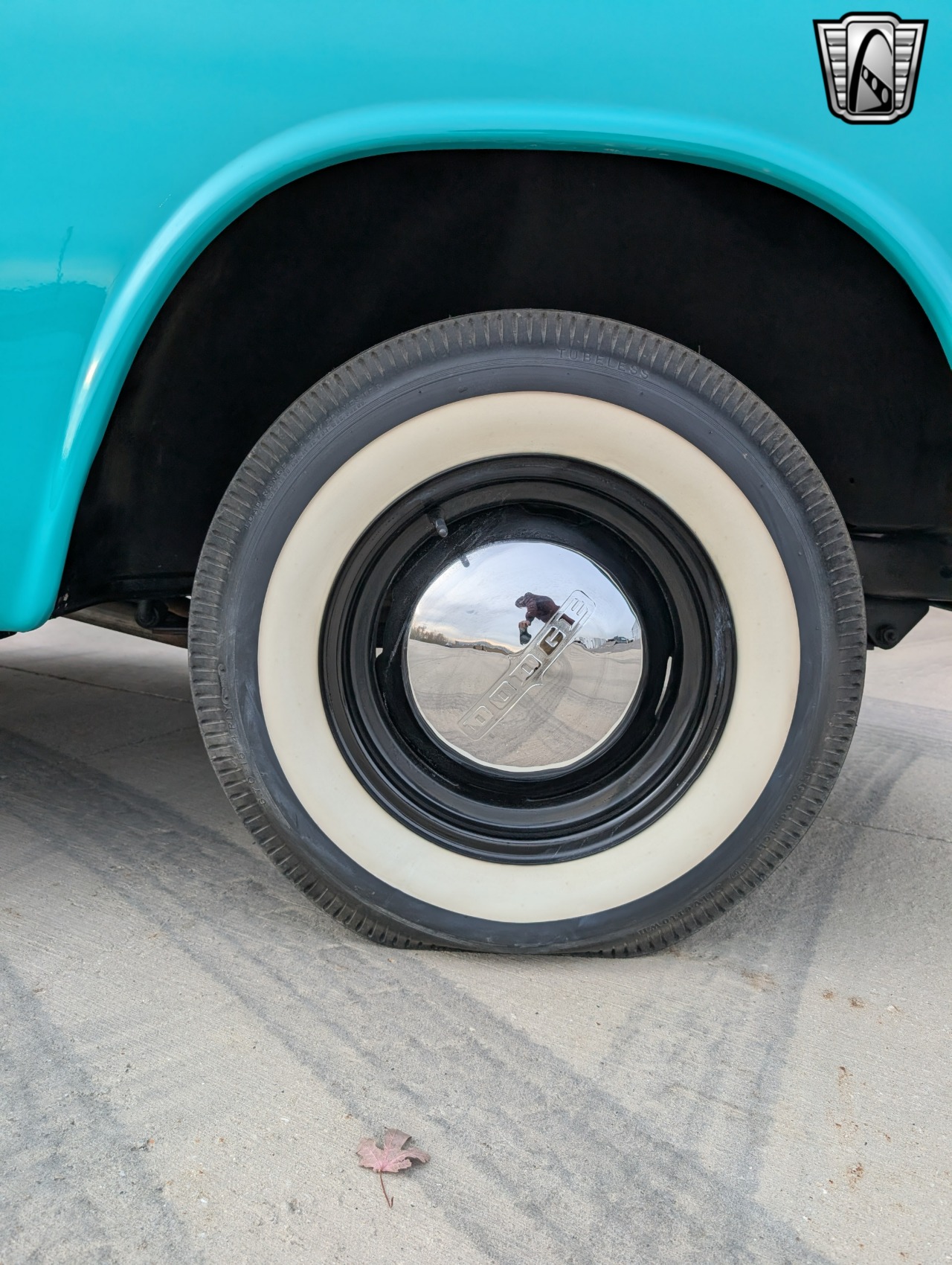 1954 Dodge Pickup 14