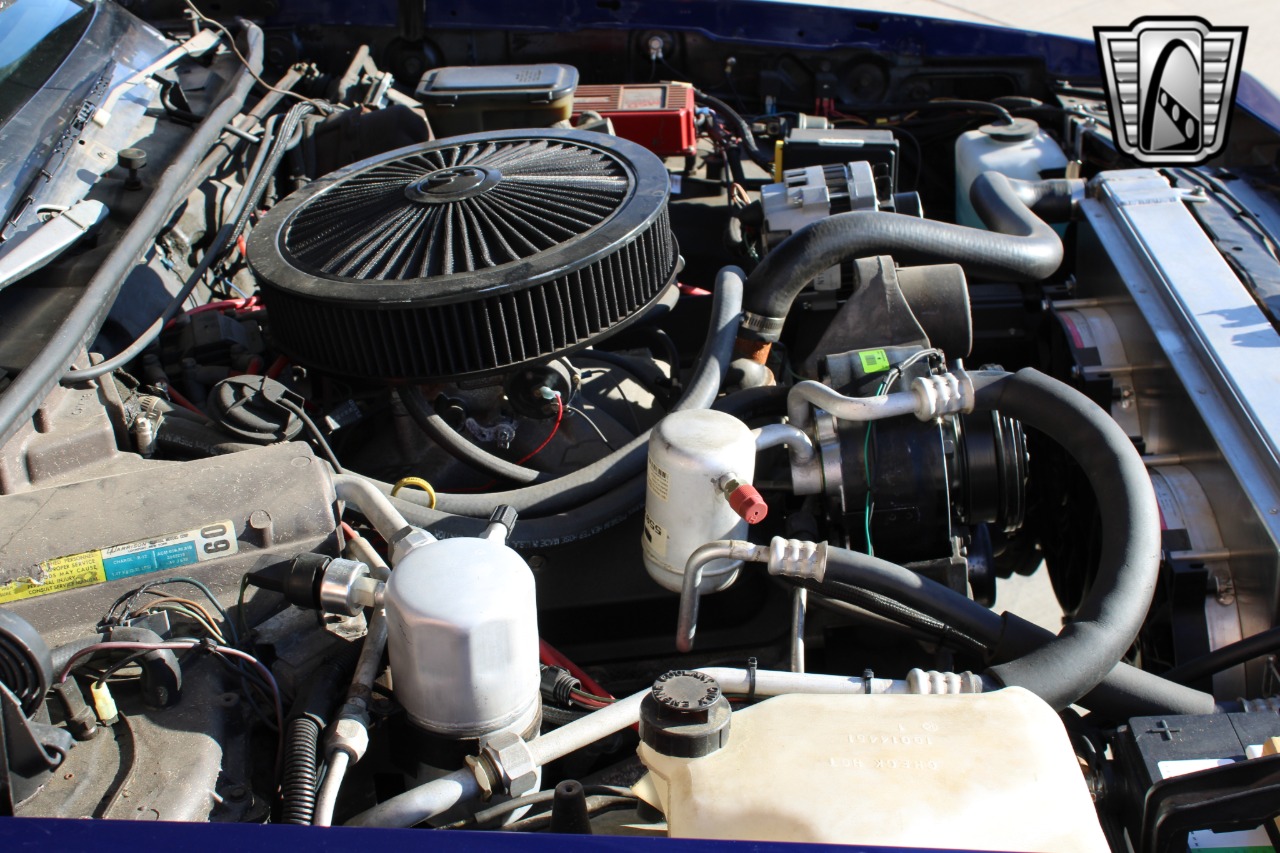 1981 Oldsmobile Cutlass Supreme 28