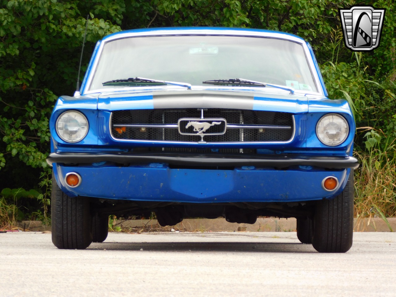 1965 Ford Mustang 80