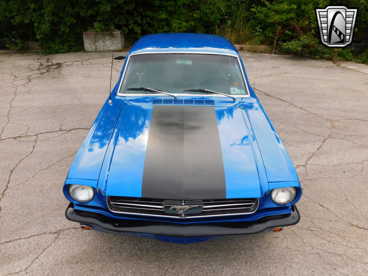 1965 Ford Mustang 63